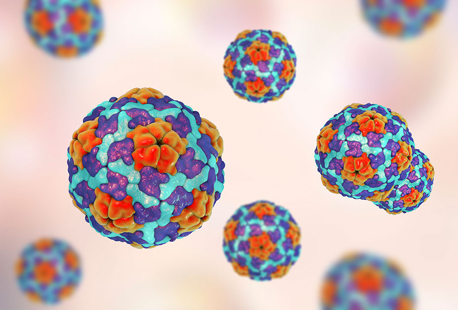 The A-Z of disease Podcast: Hepatitis A