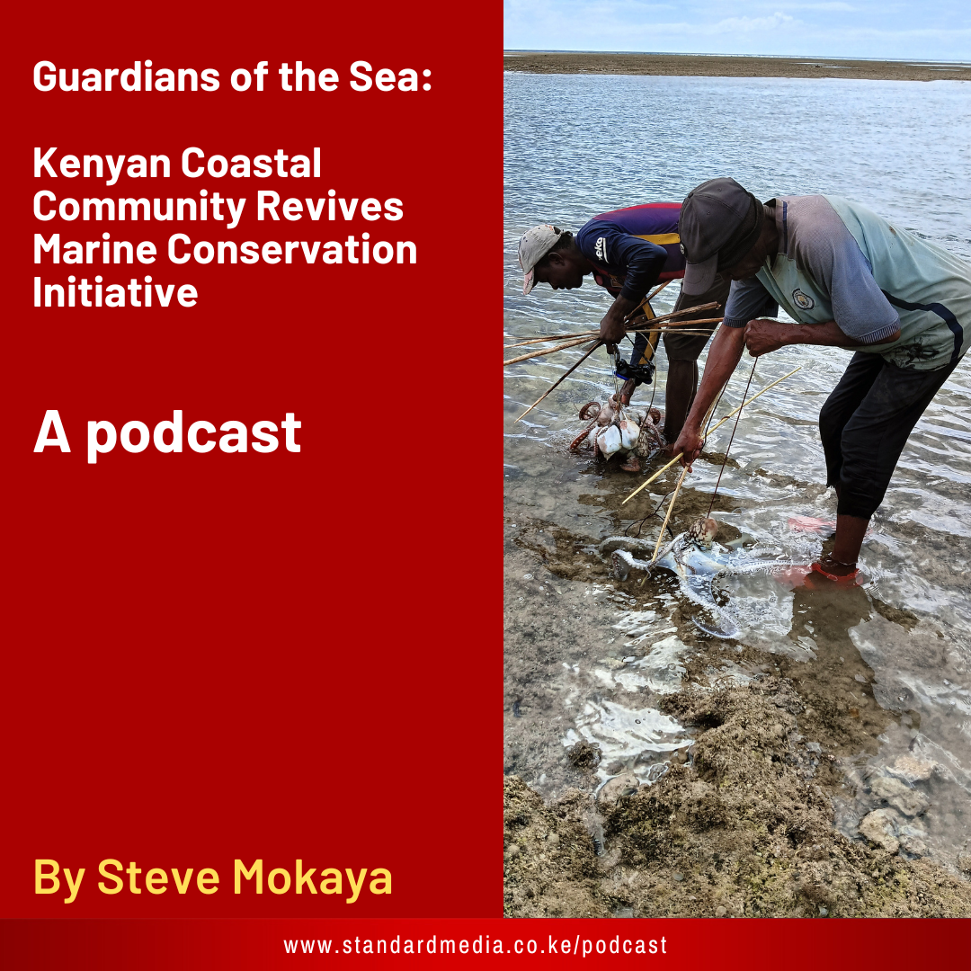 Guardians of the Sea: Kenyan Coastal Community Revives Marine Conservation Initiative